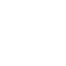 Professional Services